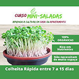 Aprenda a cultivar Mini-Saladas 100% Orgânicas