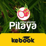 Como Plantar Pitaya